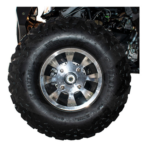 Imagen 6 de 9 de Atv Humer 250 Tao Motor
