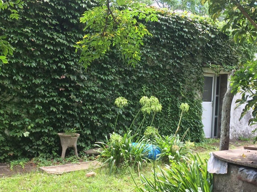 Imagen 5 de 6 de Campo - Otras