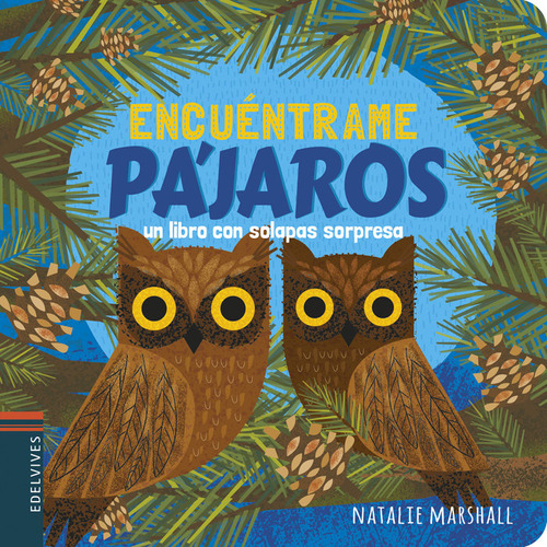 Libro Pajaros