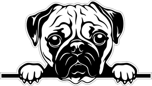 Calca Clacomania Sticker Perro Perrito Pug