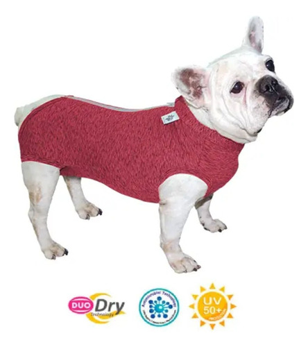 Ropa Post Quirúrgica Para Bulldog Francés Pet Med Fit