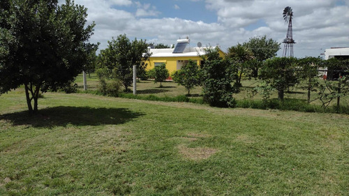 Chacra En Uruguay 3 Hct Soriano Casa Galpon Frutales