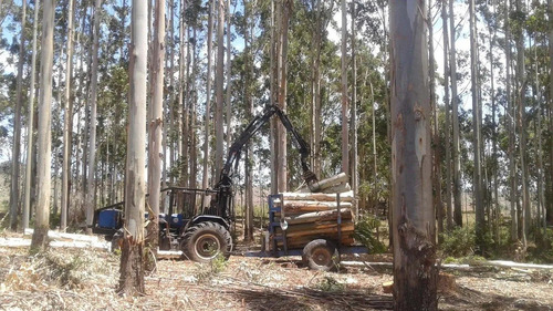 Tractor Con Grappo Y Carreta Forestal