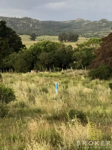 Venta Chacra Paraje Penitente 5 Has La Valleja Ruta 8