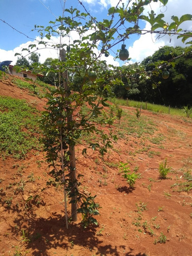Chácara Recém Construída, Tuiuti, Bragança Paulista