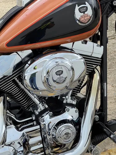 Softail Custom Edition Aniversario 105 2008