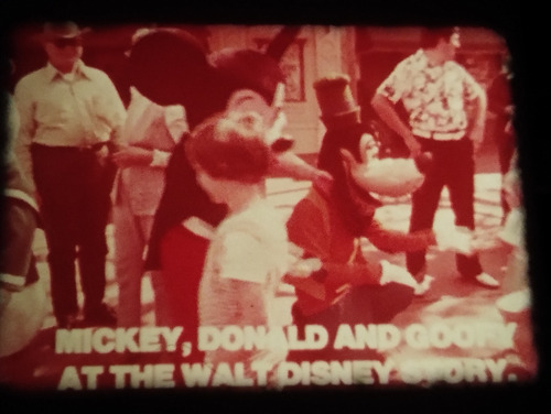 Pelicula Super 8 Documental Un Dia En Disneyland (Usado)