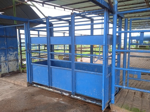 Imagen 13 de 25 de Finca Venta Lara Acarigua En Venta (gamelotal) De 251 Hectareas