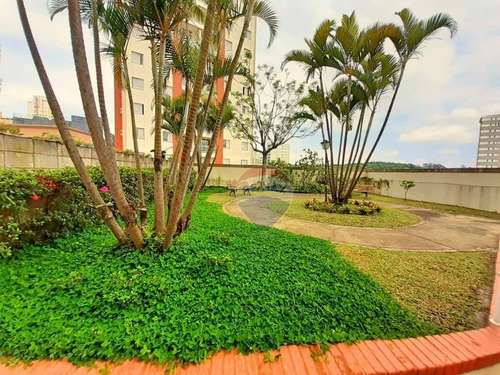 Imagem 17 de 20 de Apartamento Com 3 Dormitórios À Venda, 62 M² Por R$ 450.000,00 - Butantã - São Paulo/sp - Ap0895