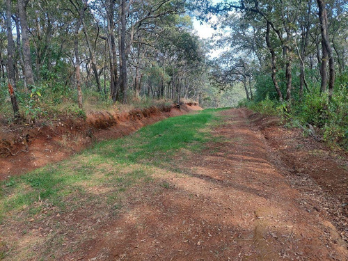 Terreno En Jilotzingo