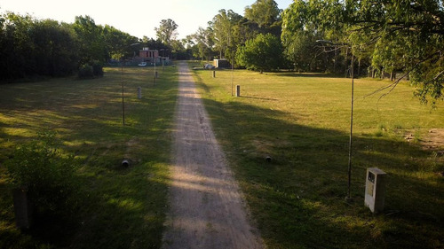 Imagen 6 de 10 de Terreno - Villa Elisa