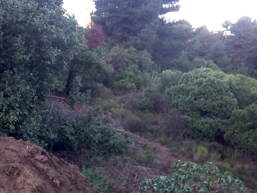 Sitio En Plan De Reñaca