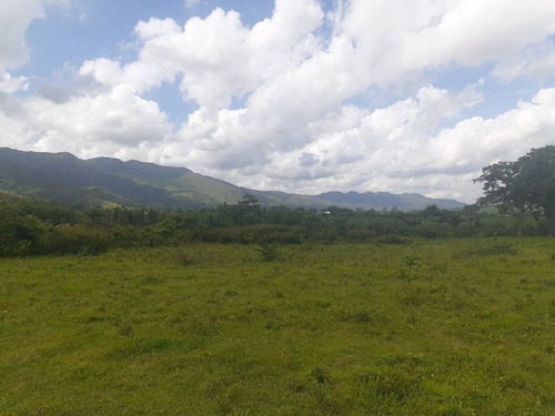 Imagen 2 de 7 de Terreno En Venta En Bejuma Cód 138747