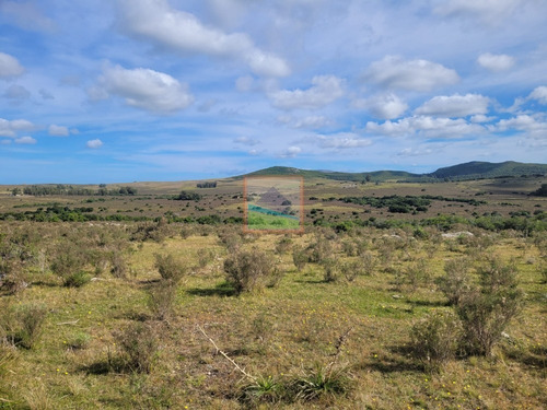 Imagen 12 de 22 de Campo Turístico 145hás En Zona De Pan De Azúcar