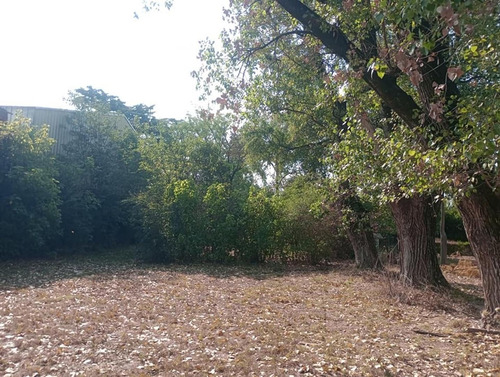 Imagen 6 de 9 de ¡encontrá La Quinta De Tus Sueños Cerca De La Ruta 8!