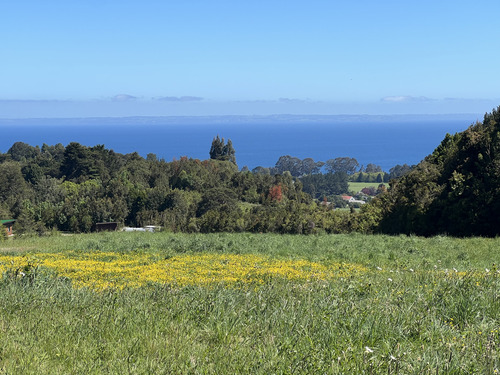 Preciosas Parcelas Con Lindas Vistas En Puerto Varas.