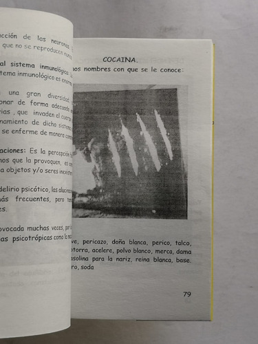 Las Máscaras Del Adicto - Martín Alberto Zaldívar Serrano (Usado)