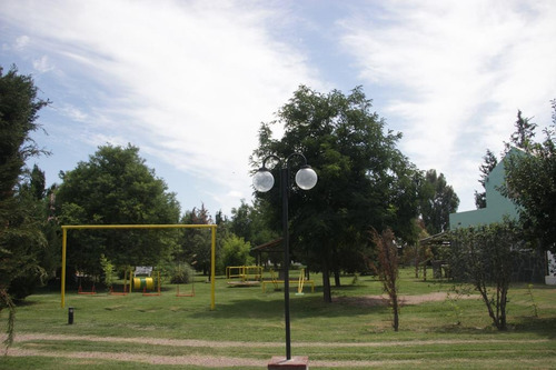 Imagen 4 de 30 de Quinta - Rama Caida