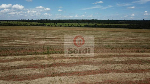 Imagem 3 de 20 de Fazenda À Venda, 4400000 M² Por R$ 22.000.000,00 - Zona Rural - Prata/mg - Fa0109
