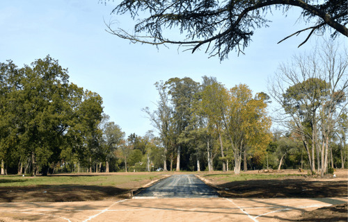 Loteo En Barrio Parque El Remanso - Barrio Los Jazmines - Pilar, Del Viso
