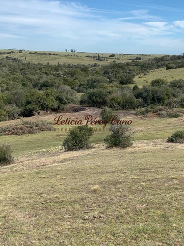 Imagen 24 de 30 de Venta Chacra 5 Has Ubicada En Jose Ignacio Proximo A Garzon