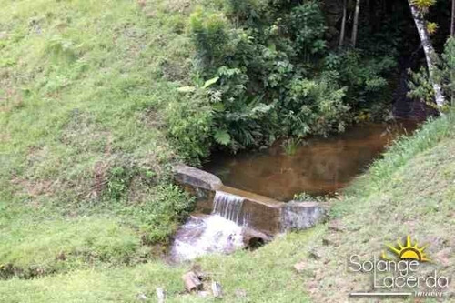 Imagem 26 de 28 de Ref. 0001 - Quer Morar Envolvido Pelo Esplendor Da Mata ? Ou Apenas Curtir Momentos De Muita Paz ? - 0001