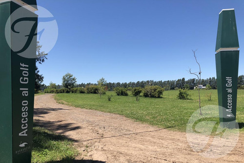 San Pedro (ba) I Quinta Driving Golf