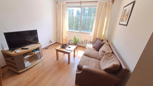 Apartamento En Alquiler Invernal - Zona Mansa Ref. 6511