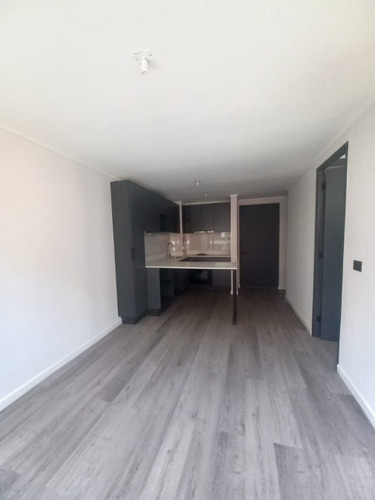 Hermoso Departamento En Arriendo Barrio Brasil Codxy10303