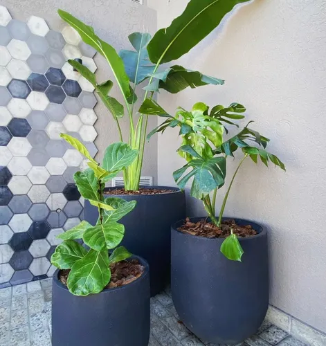 Servicios De Jardinería Y Paisajismo