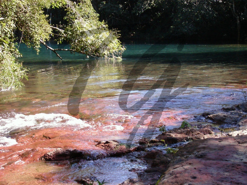 Imagem 1 de 13 de Fazenda - Fa00003 - 69828304