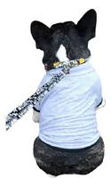Comprar Remeras Chombas Ropa Para Perros .  Big  Star 