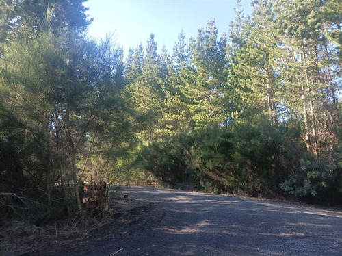 Parcela En Venta En Pucón Cond El Alba