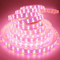 Comprar Tira Luz Led Smd 5050 Color Rgb Ww Blanco Calido Doble Fila