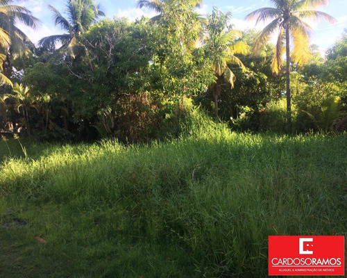 Imagem 3 de 5 de Terreno - Te00089 - 33610344