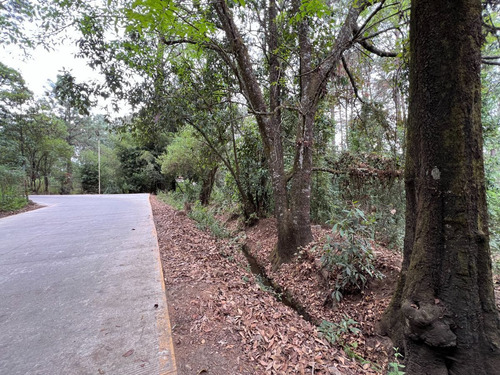 Terreno Rincón Jaímes