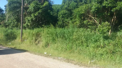 Terreno Ilha Comprida 10x25 - Com Escritura - Troco Por Carro