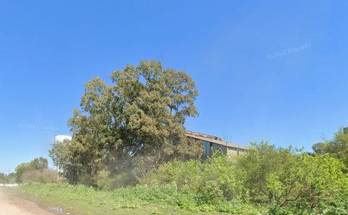 Alquiler Terreno Industrial 22.288 Mts Carlos Spegazzini