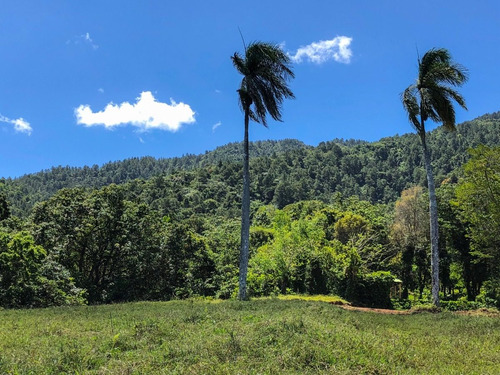 Imagen 13 de 18 de Solar Con Vista Panorámica En Jarabacoa Wps18