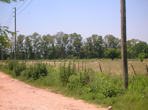Imagen 4 de 8 de Alquiler Campo Centro Mariano Acosta, Muy Bueno
