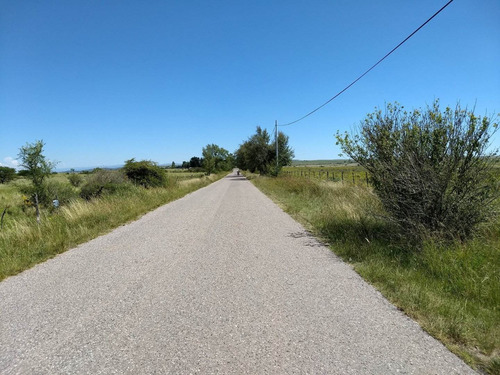 Venta O Alquiler Terrenos Hectareas