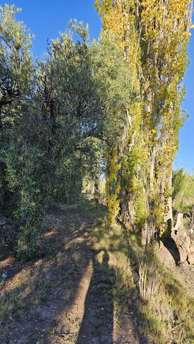 Gran Terreno O Lote De 2 Has En San Rafael Ideal Emprendimie