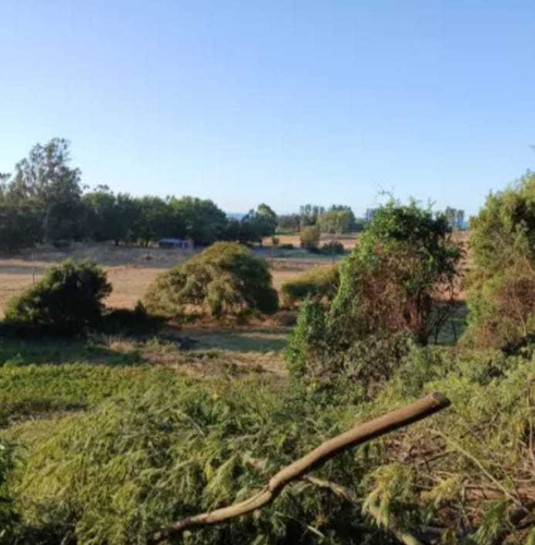 Parcela En Arauco A Pasos De Extensa Playa (92707)