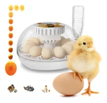 Comprar Incubadora De Huevo Lreerge, Incubadora De 12 Huevos Con Gir