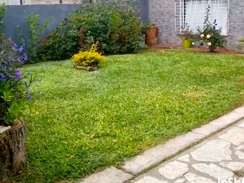 Imagen 2 de 5 de Guarderia Canina Y Pensionado Pupycand Cachorros