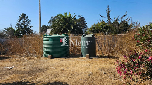 Galpón Y Casa Zona Zeu Pm, En Arriendo. Colmo. Concón.
