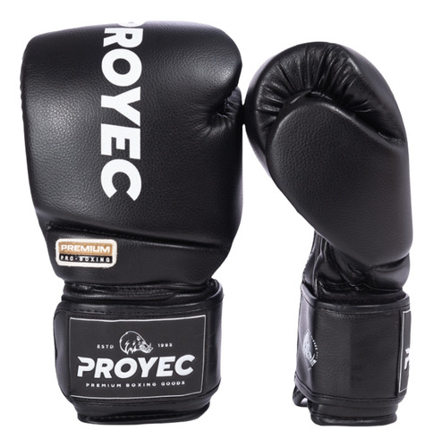 Par Guantes Proyec Premium Boxeo Mma Kick Boxing Muay Thai