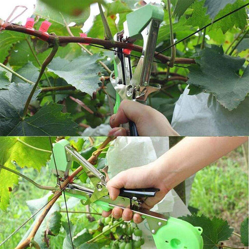 Alceador Grampeador Uva Tomate Ramos + 10 Fitas + Grampos