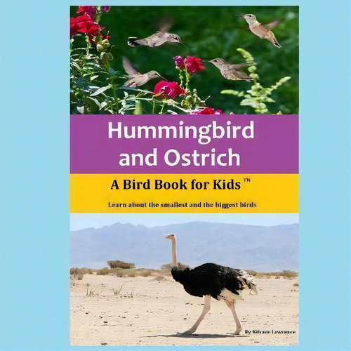 Hummingbird And Ostrich, De Novare Lawrence. Editorial Nada Bindu Publishing Company, Tapa Blanda En Inglés