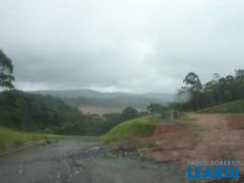 Imagem 11 de 12 de Area - Itaquaciara - Sp - 534448